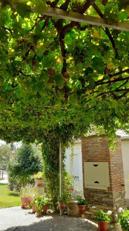 El Maragato Villa Castrillo de Cepeda Eksteriør billede